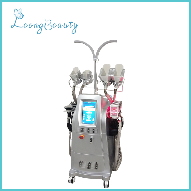 Máquina gris vertical de la pérdida de peso de la cavitación del Rf de Cryolipolysis del silicio del color